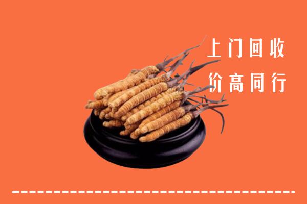 收购行情：宁德市福鼎冬虫夏草回收多少钱每克