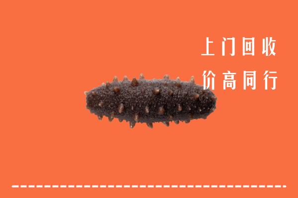 宁德市福鼎回收海参