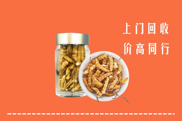 宁德市福鼎回收冬虫夏草